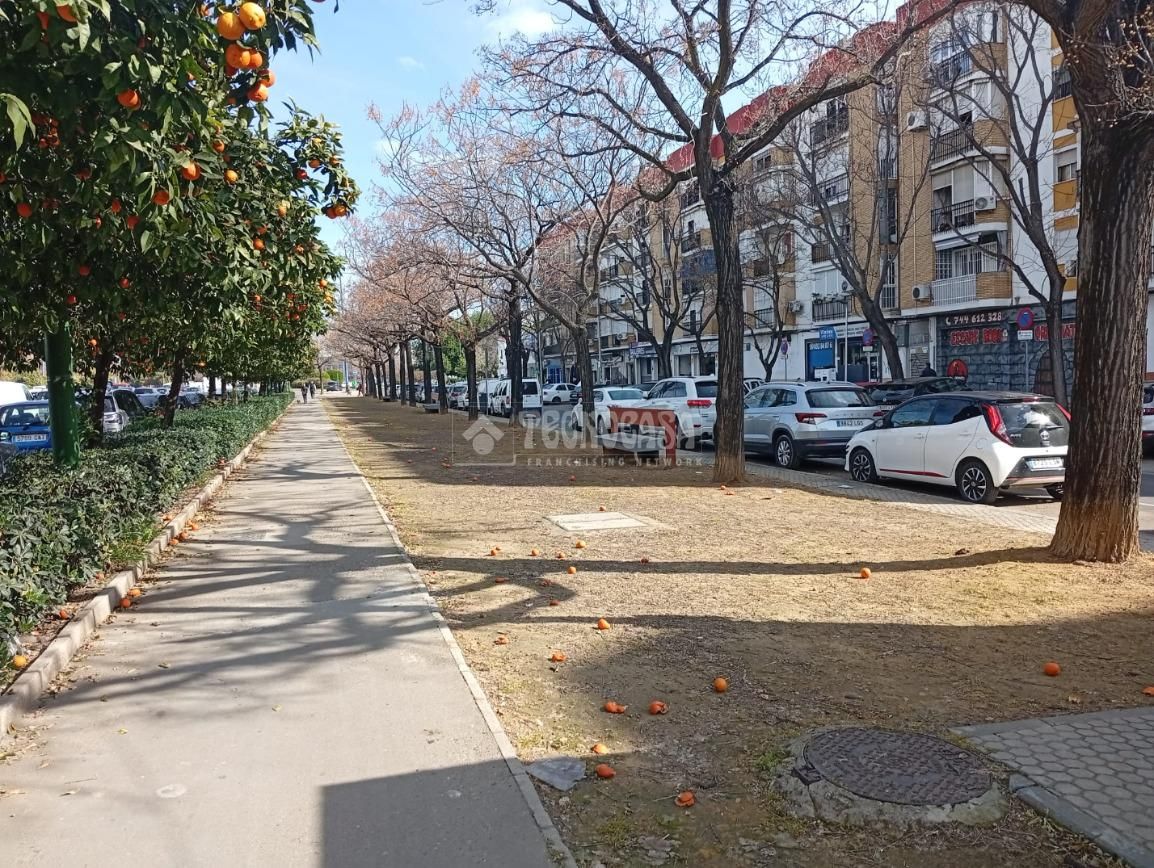 Exterior view of Flat for rent in  Sevilla Capital  with Air Conditioner, Terrace and Furnished