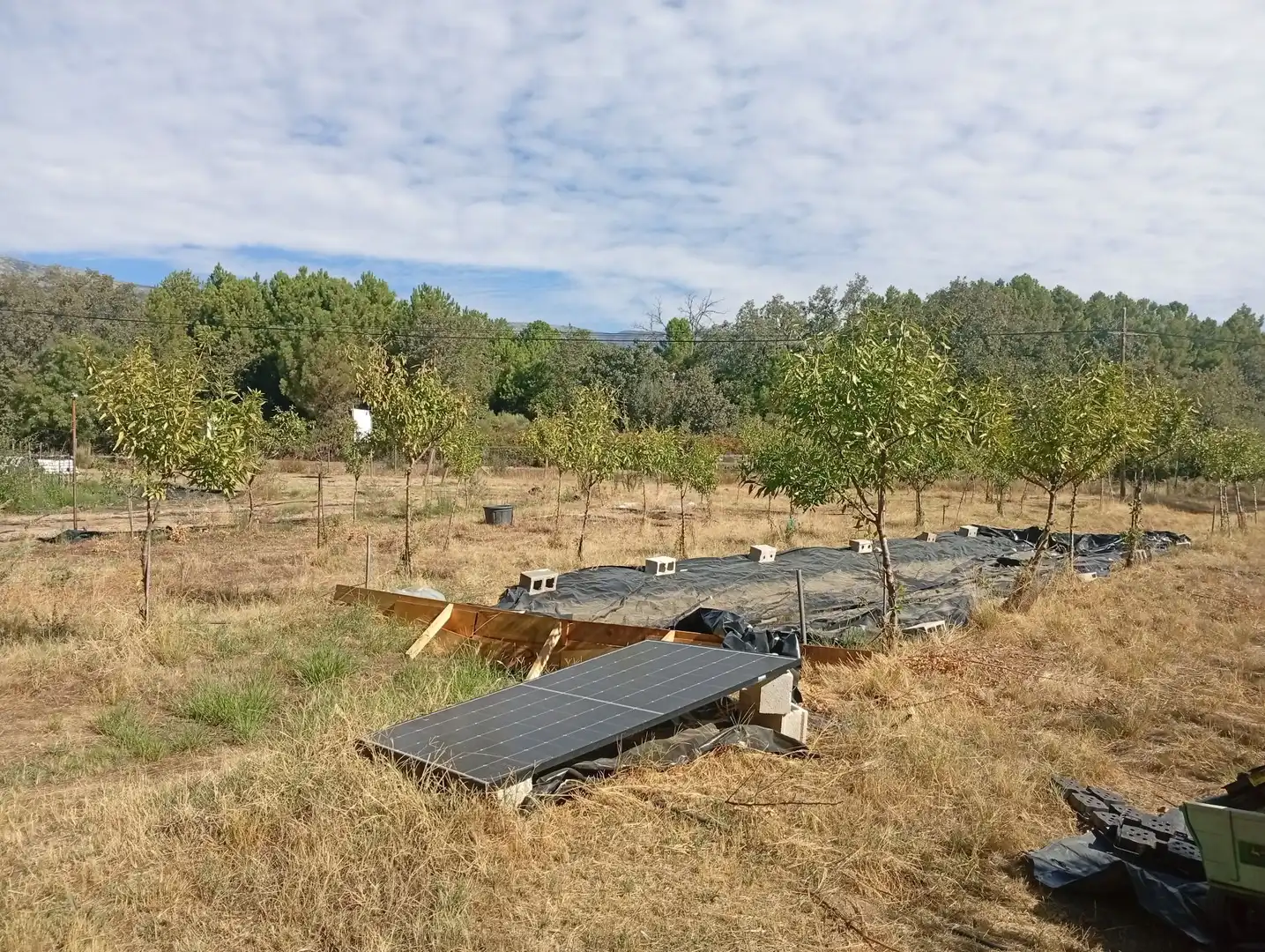 Terrain rustique à vendre à Villanueva de la Vera, imagen 27
