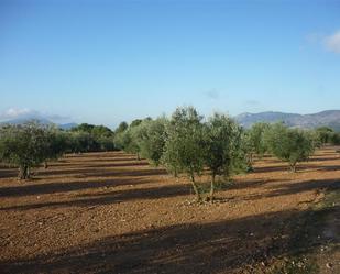 Land for sale in Onil