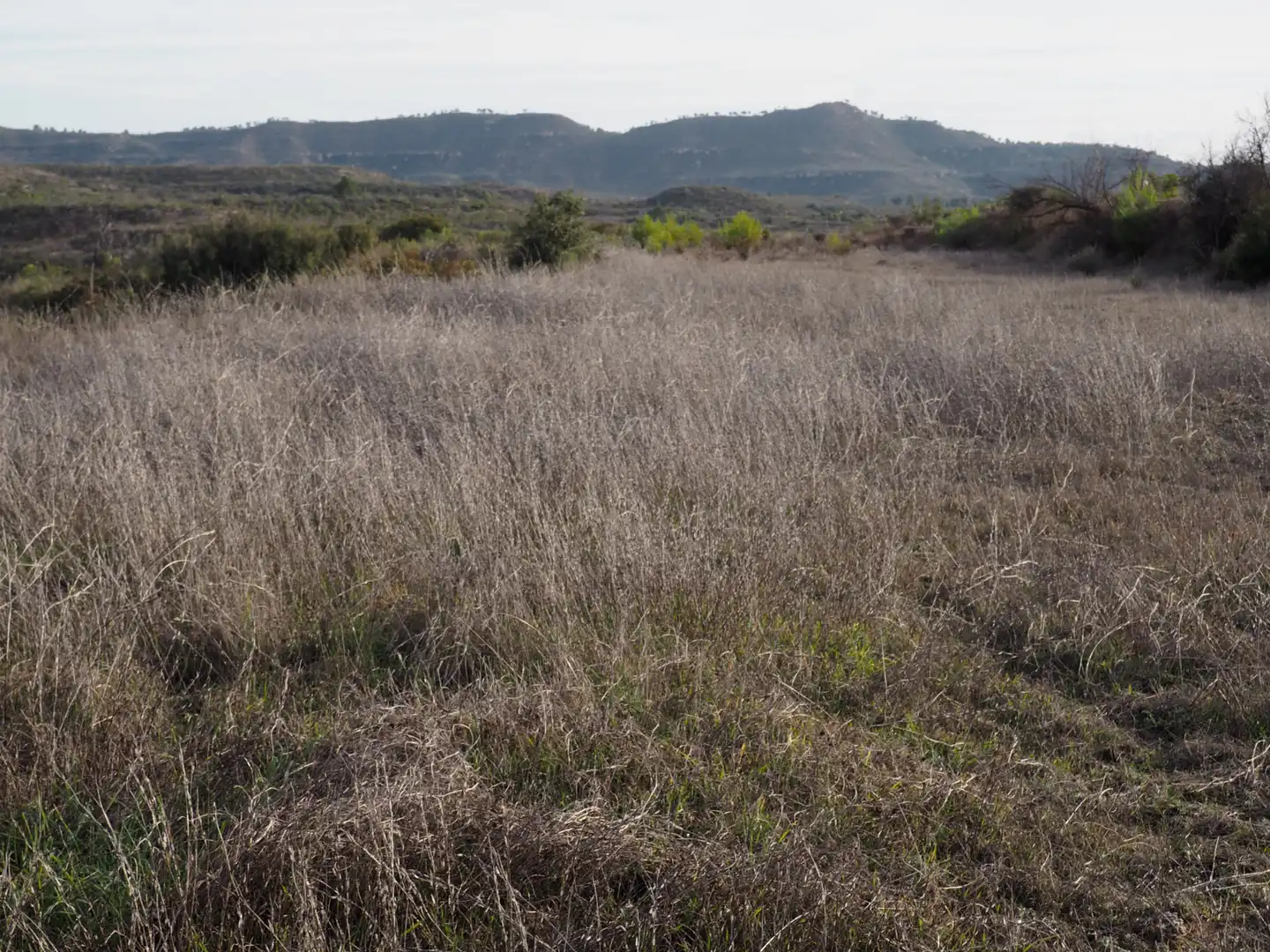 Terreno en venta en Flix