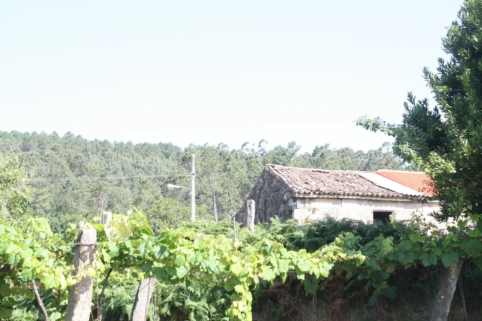 Casa o chalet en venta en Dodro