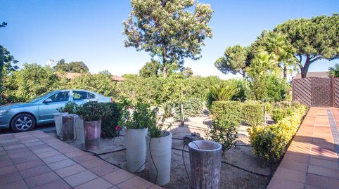 Foto 5 de Finca rústica en venta en Camino Viejo de Aljaraque, Cartaya, Huelva
