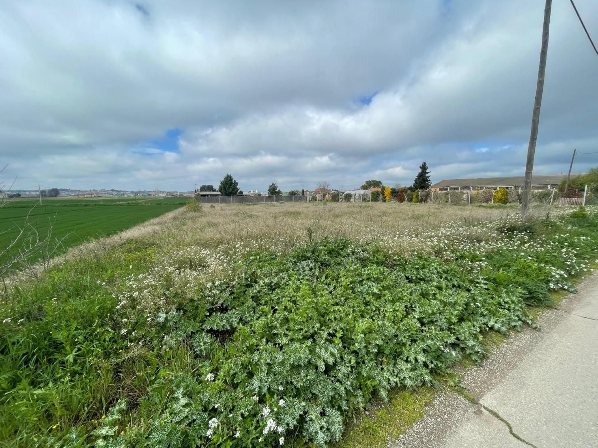 Residencial en venda en Mollerussa