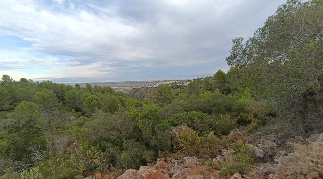 Terreno en Venta en Plaça Poligono 3 en El Ràfol d'Almúnia