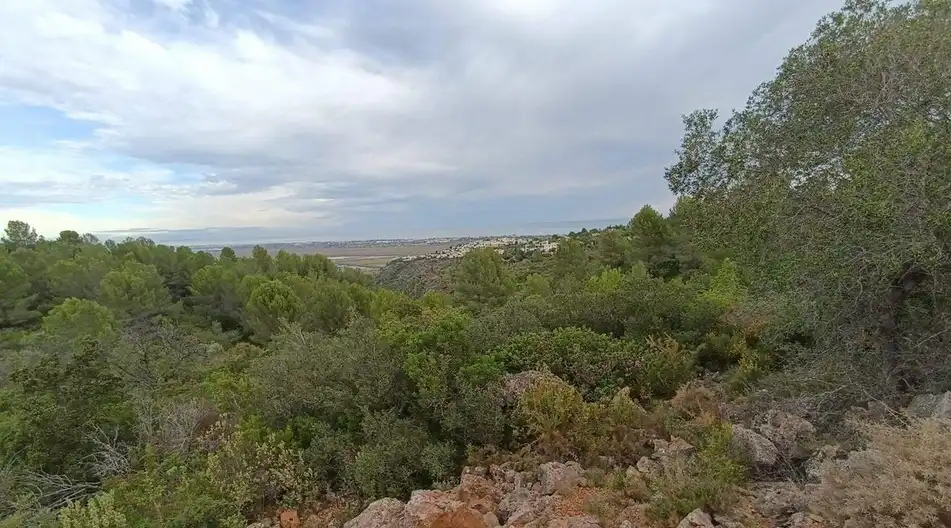 Terreny rústic en venda a Plaça Poligono 3