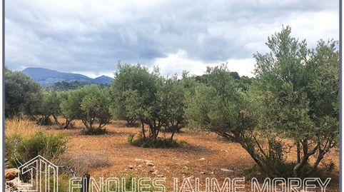 Terreno en venta en Selva, imatge 2