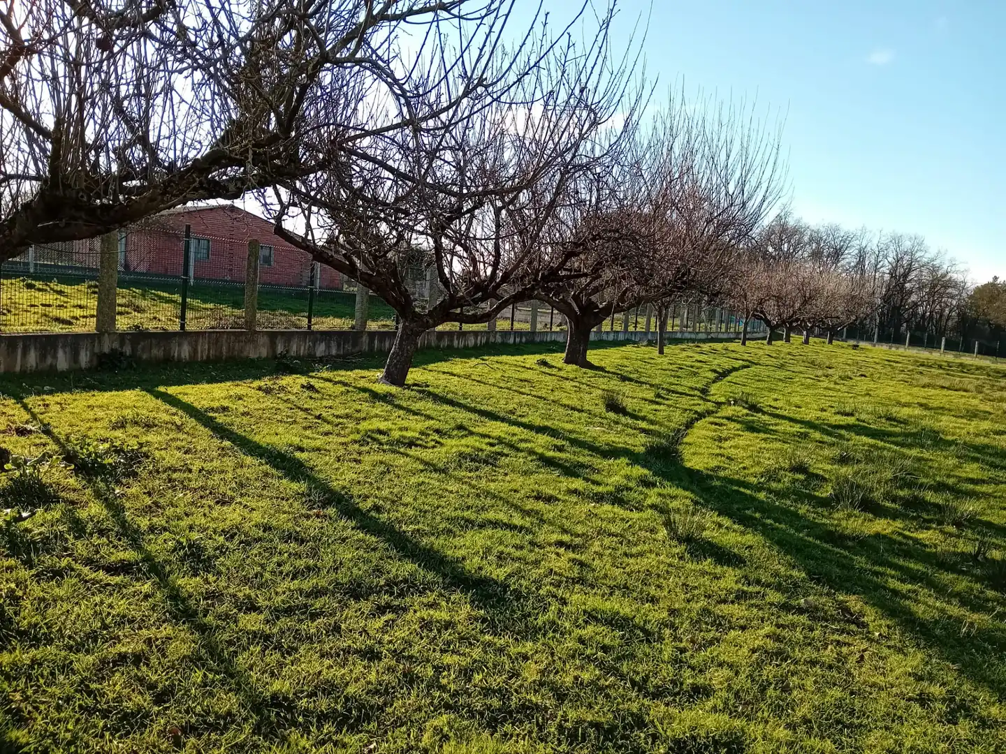 Casa amb terrassa en venda a Monforte de Lemos, imagen 7