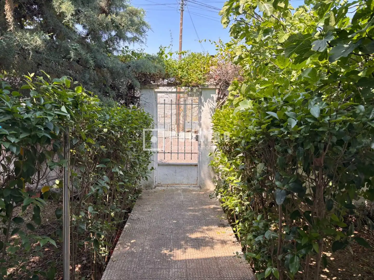 Exterior view of Houses for sale in Casarrubios del Monte  with Heating, Private garden and Terrace