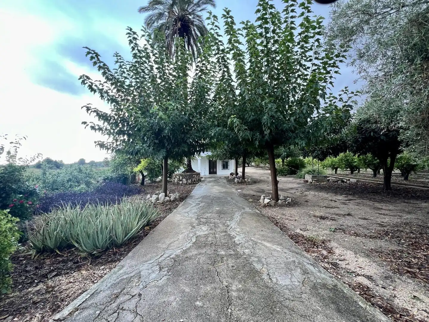 Maison avec piscine à vendre à Pego, imagen 3