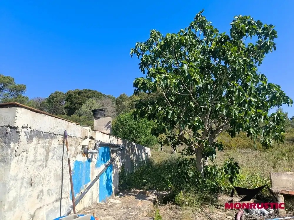 Finca rústica en venta en Querol con Jardín privado, Terraza y Trastero