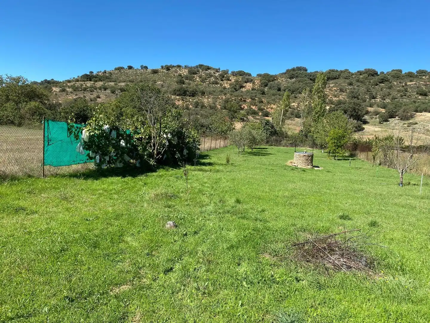 Terreno en venta en Escopete
