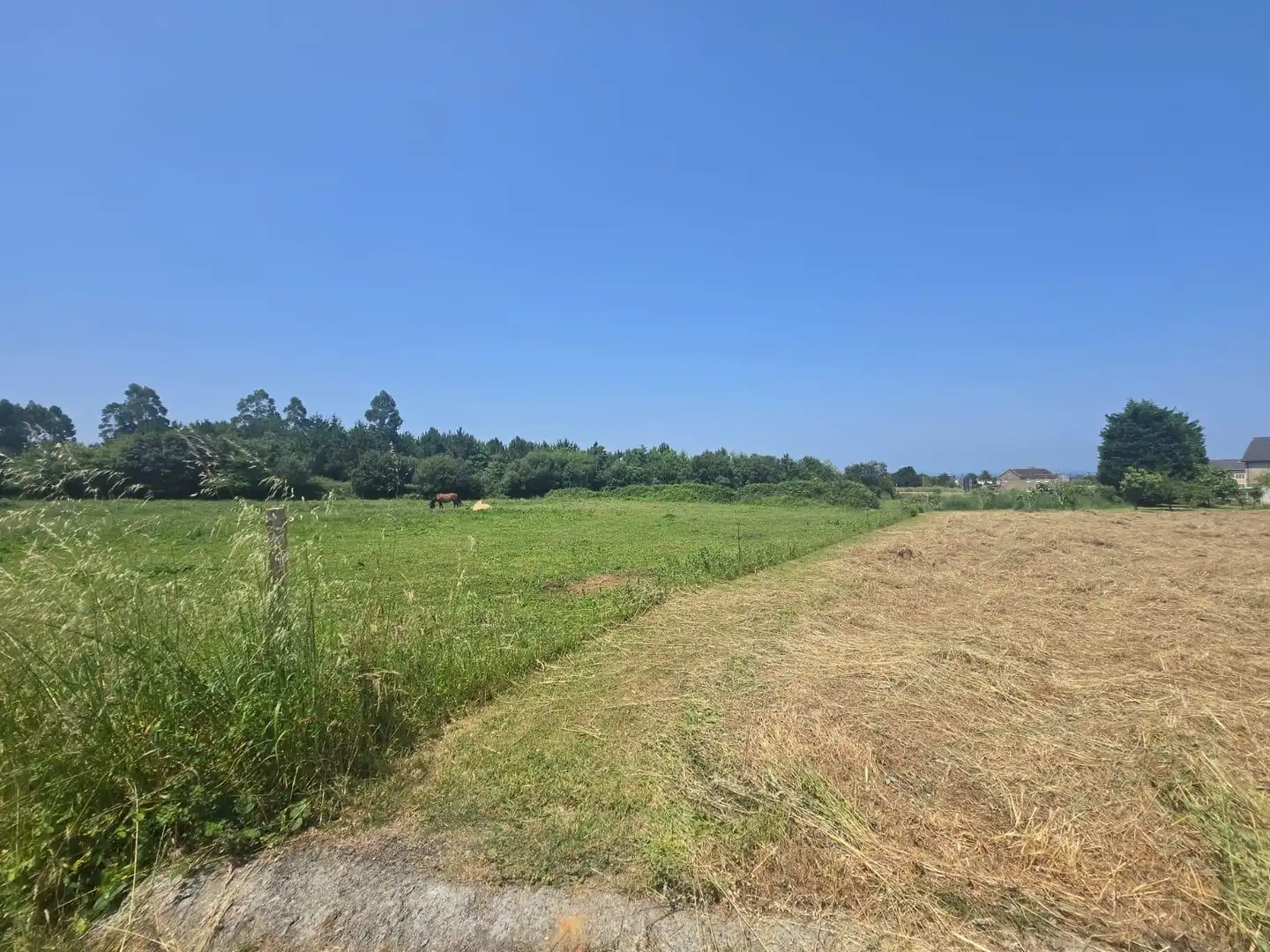Residential land for sale in Carretera GENERAL SAN PEDRO 148, imagen 30