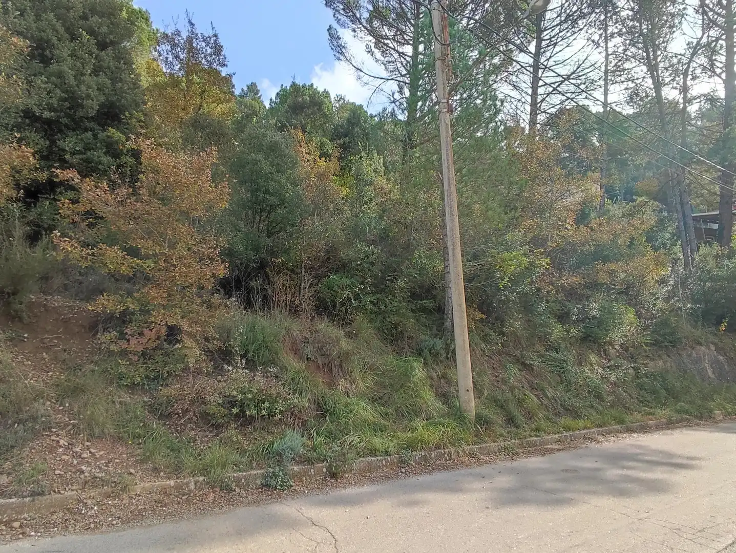 Terrain rustique à vendre à Monistrol de Calders, imagen 7