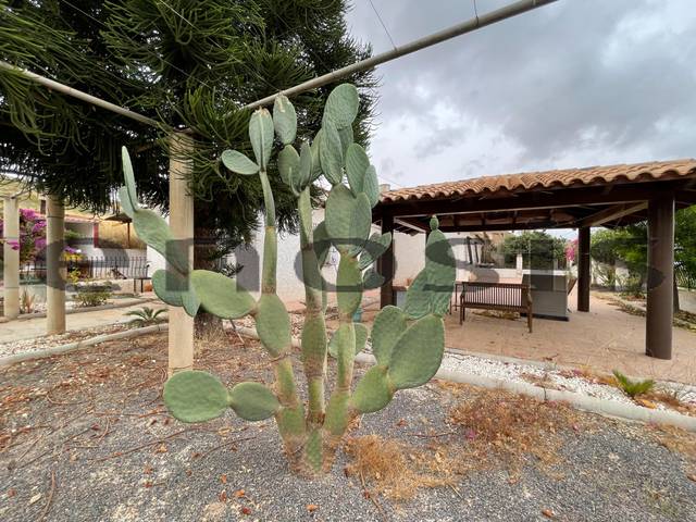 Finca rústica en Venta en Perín
