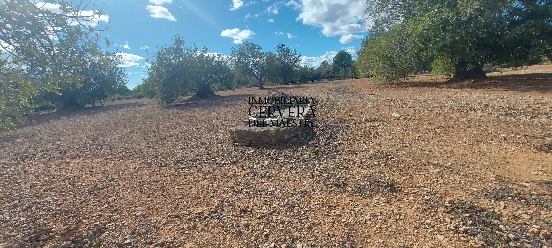 Terreno rustico in vendita a Partidas de interior - Zona Rústica, imagen 8