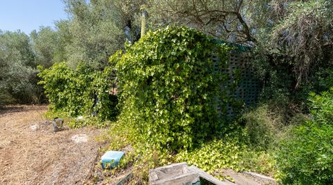 Foto 5 de Terreno en venta en N/a, -1, Mas de Barberans, Tarragona
