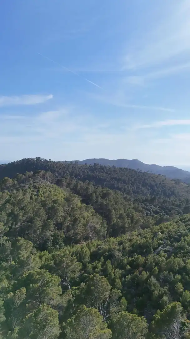 Grundstücke zum Verkauf in S'Arracó