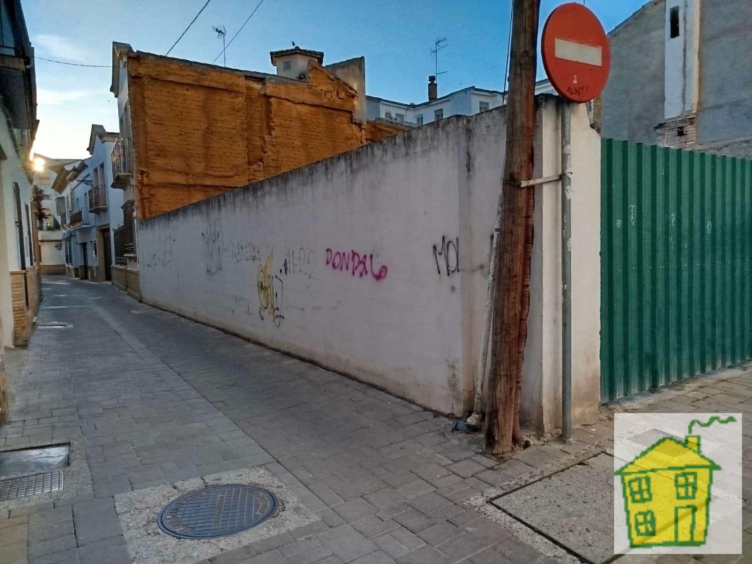 Exterior view of Residential for sale in Andújar