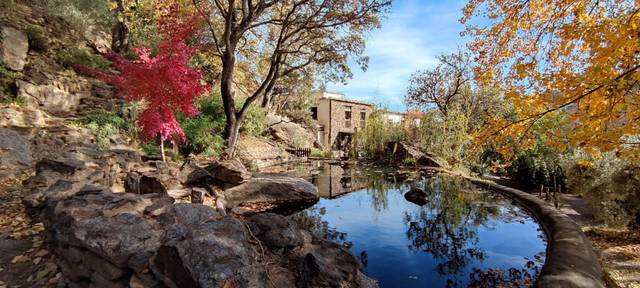 Casa-chalet en Venta en Polígono 8 Parcela 31 CAMINO DE MECINA. LA TAHA (G, -1 en La Taha