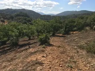 Terreni e lotti in vendita a Cortegana, imagen 7