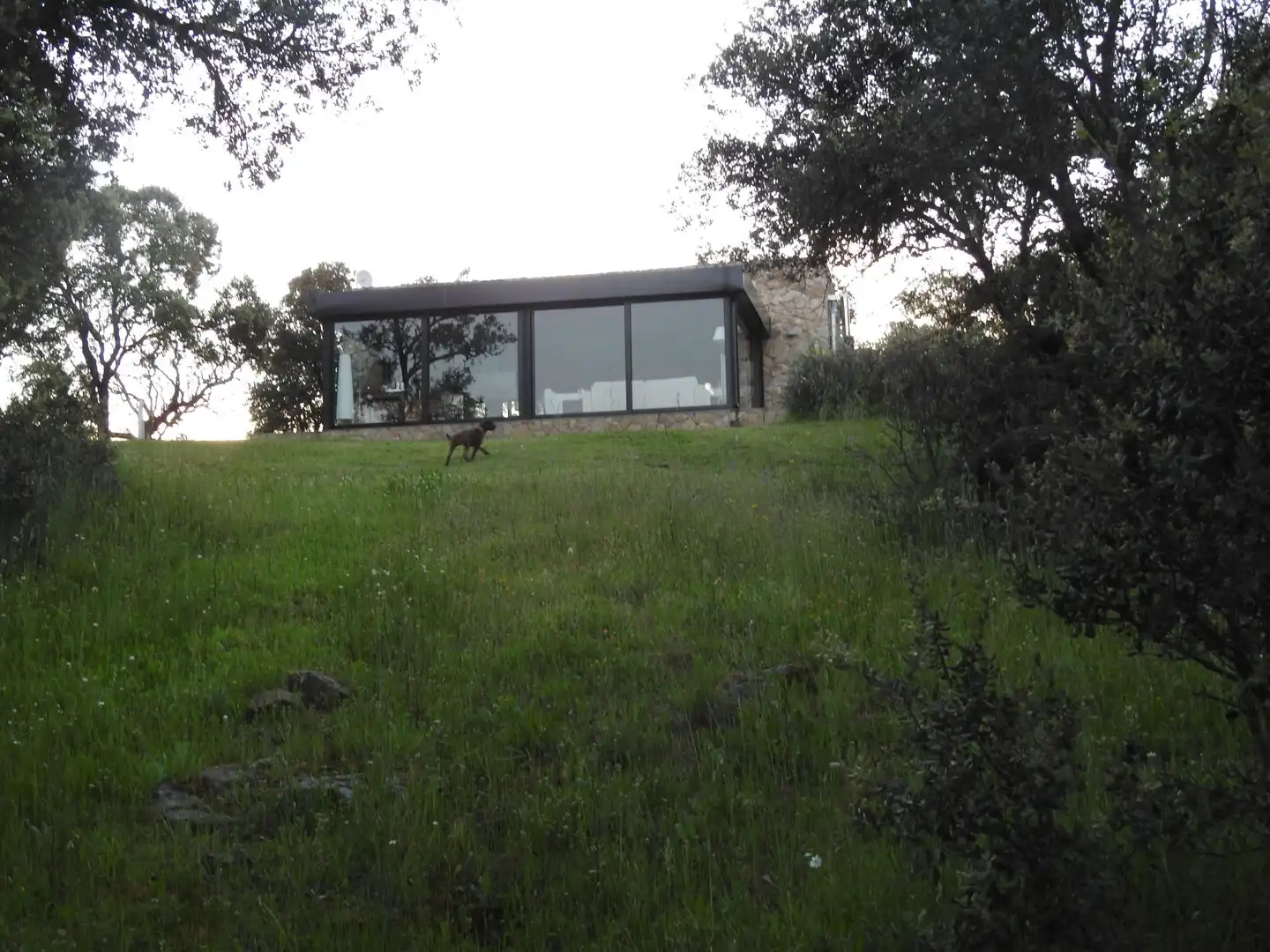 Exterior view of Land for sale in Cervera de los Montes