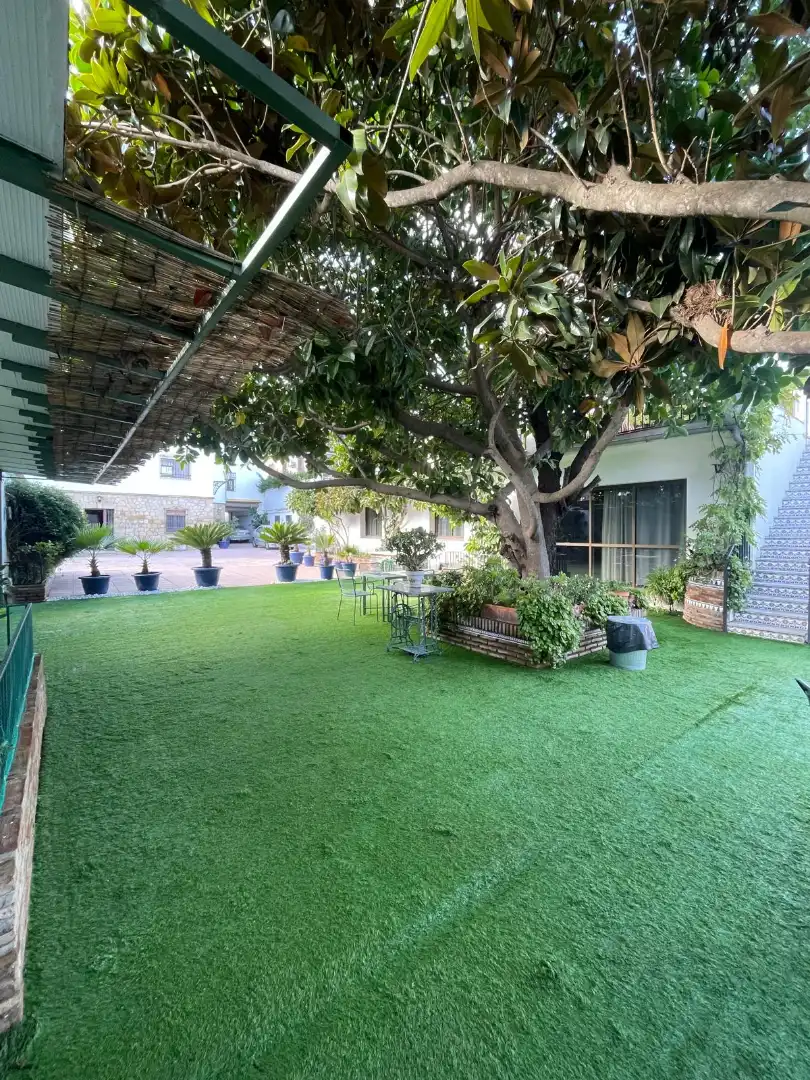 Houses for sale in Avenida del Brillante, El Brillante -El Naranjo - El Tablero