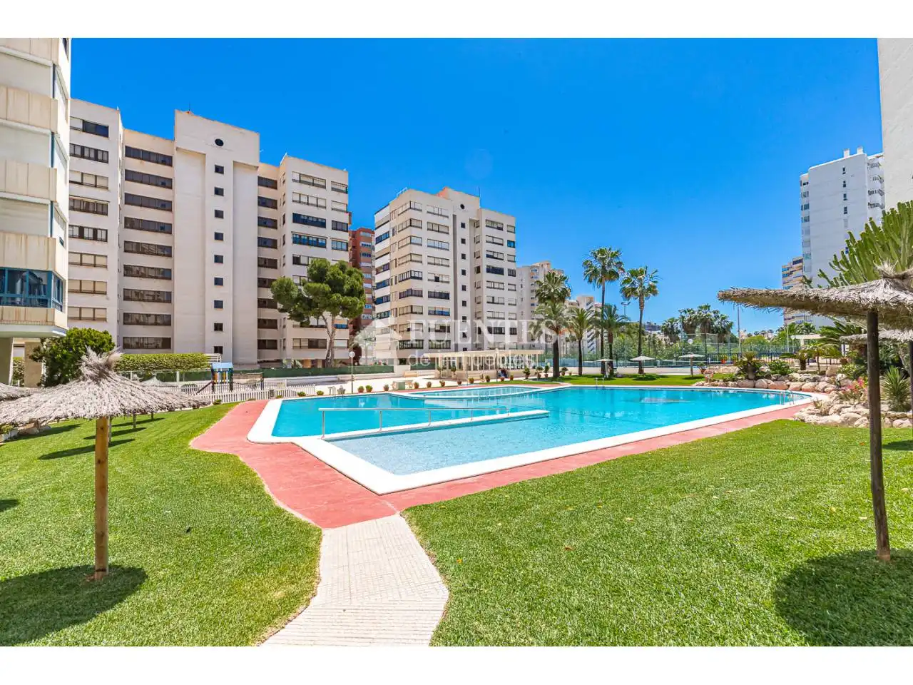 Swimming pool of Apartments for sale in Alicante / Alacant  with Air Conditioner, Storage room and Community pool