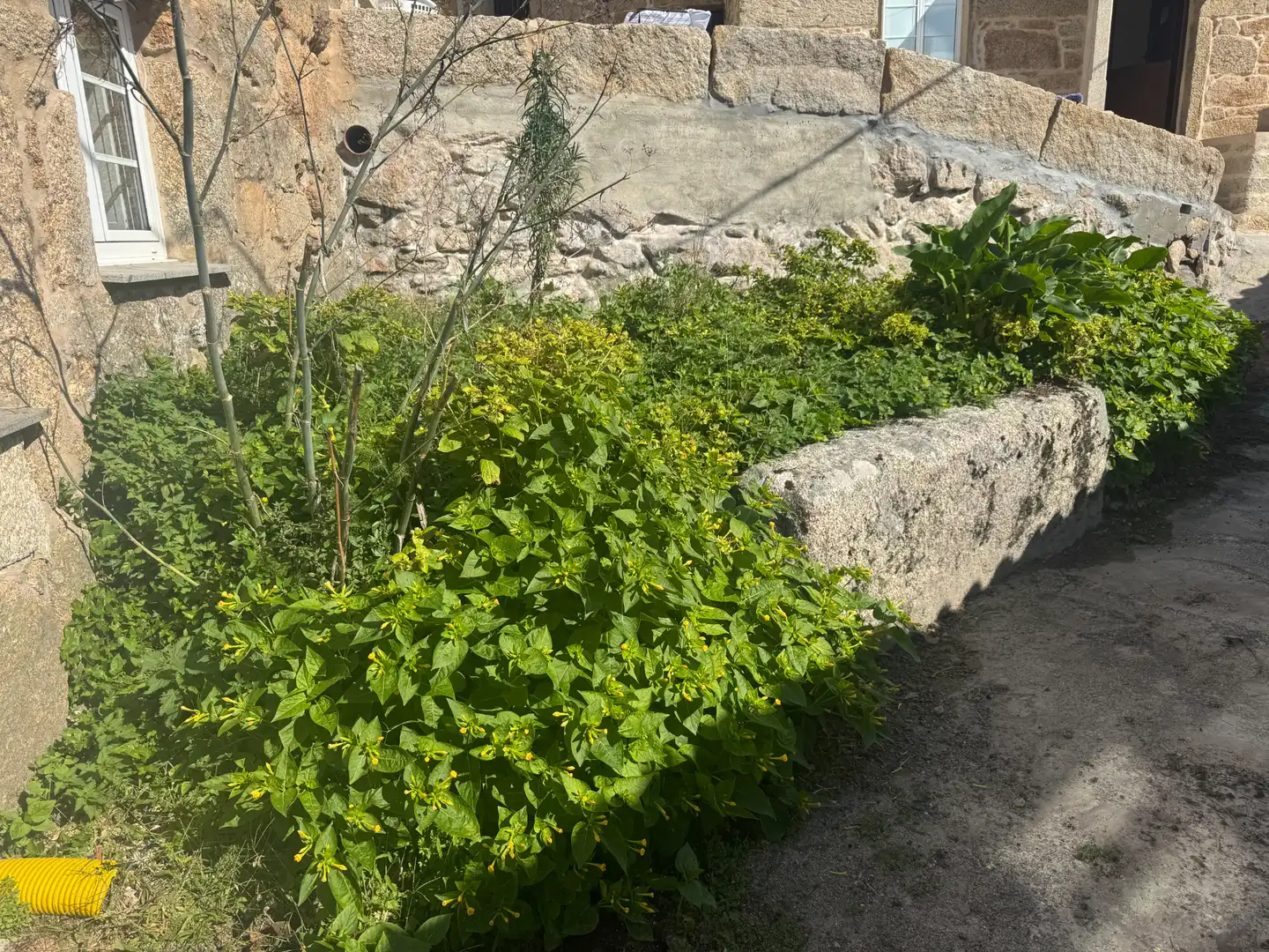 Vista exterior de Casa o xalet en venda en Muros amb Terrassa