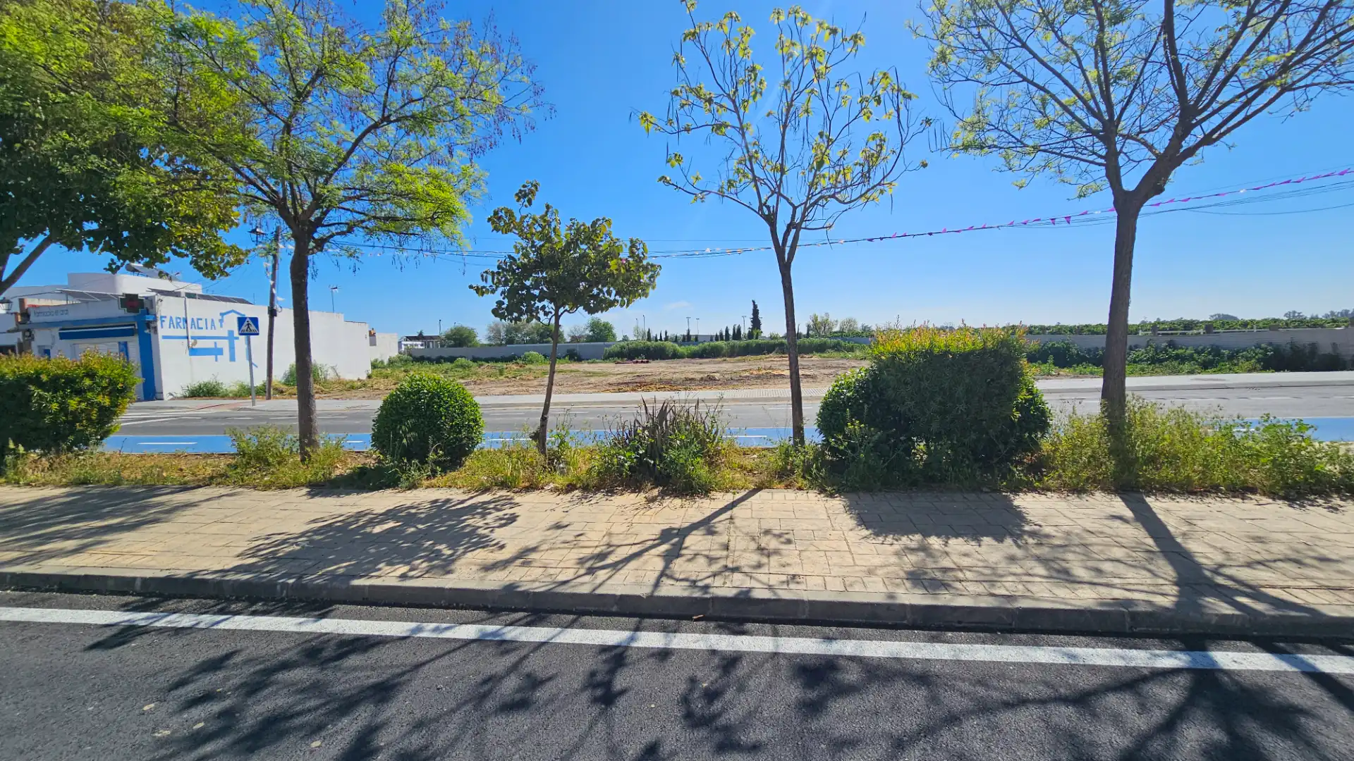 Appartamento con terrazza in vendita a Camino Aral 74, imagen 33