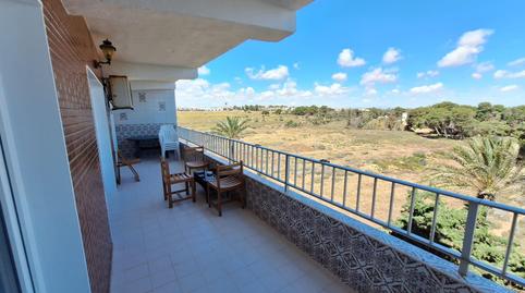 Foto 5 de Apartament de lloguer a Punta Prima, Torrevieja