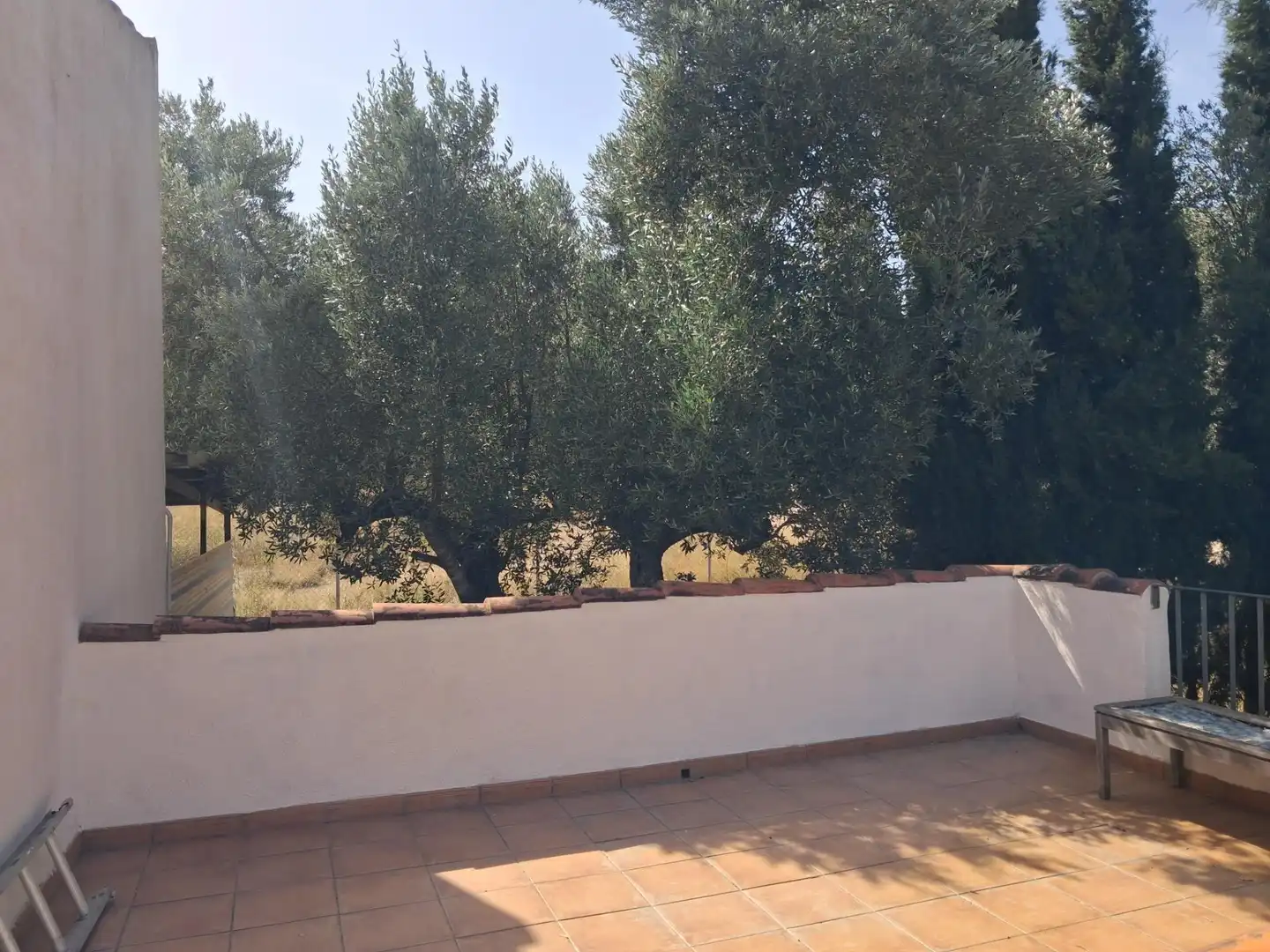 Terrassa de Finca rústica en venda en Móra d'Ebre