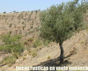 Land for sale in Rincón de la Victoria