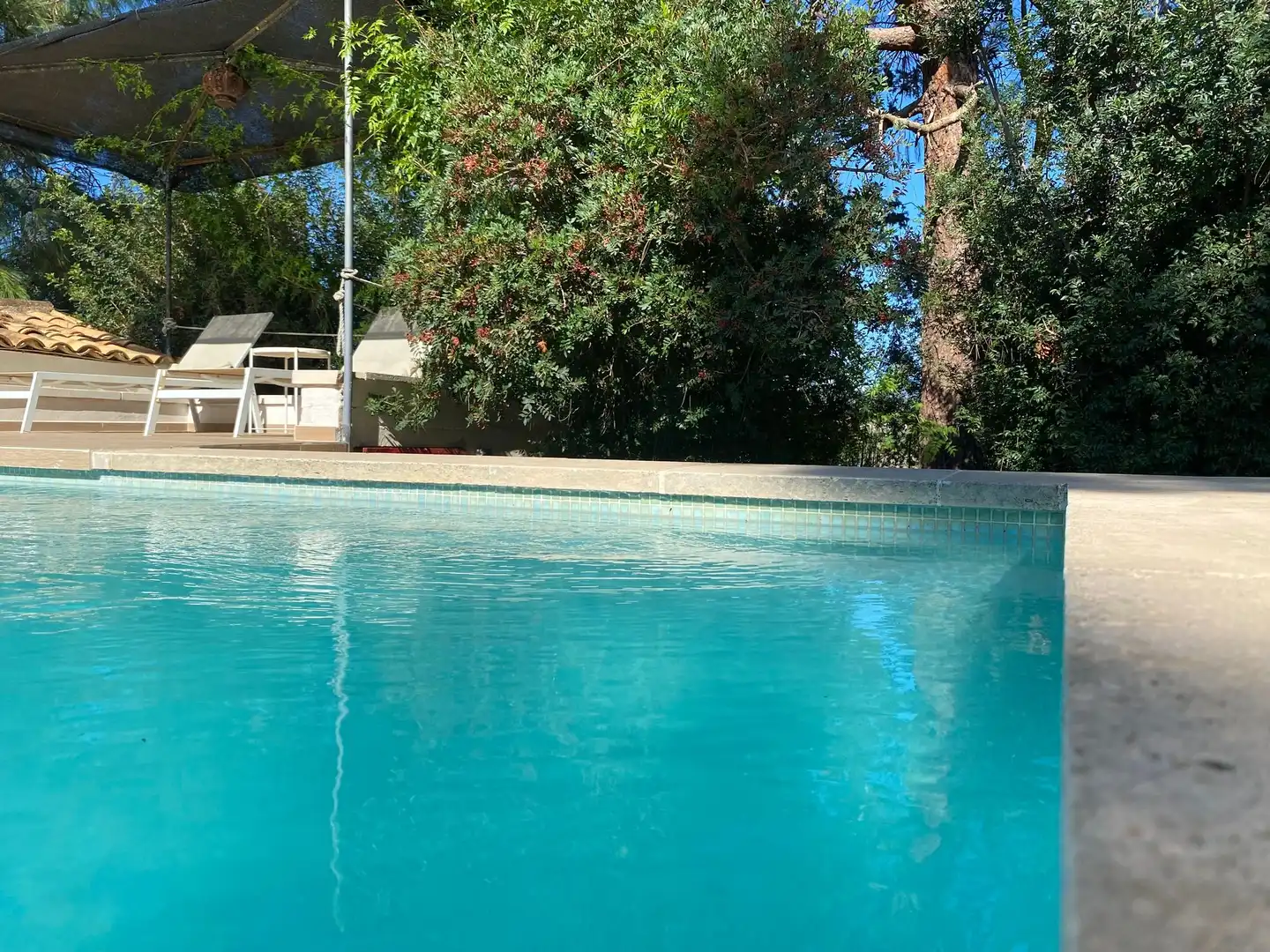 Piscina de Casa o chalet de alquiler en Santa María del Camí con Terraza y Balcón