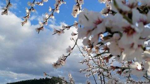 Un paraíso productivo con infinitas posibilidades tierra, tradición y rentabilidad en un entorno privilegiado