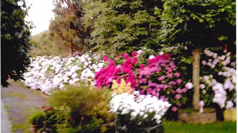 Foto 2 de Casa o xalet en venda a Txalin Bidea, Igeldo, Gipuzkoa