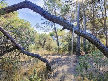 Terreni e lotti in vendita a El Racó - Sant Feliu del Racó
