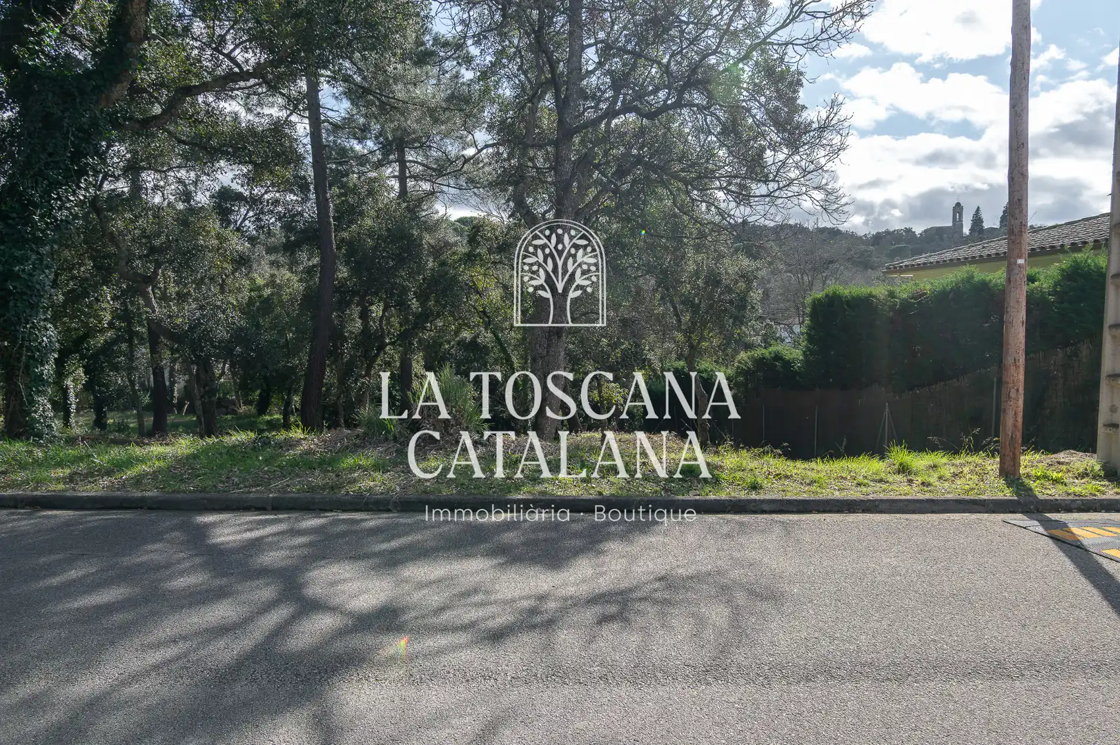 Terreny residencial en venda a Carrer Alzina Surera 152