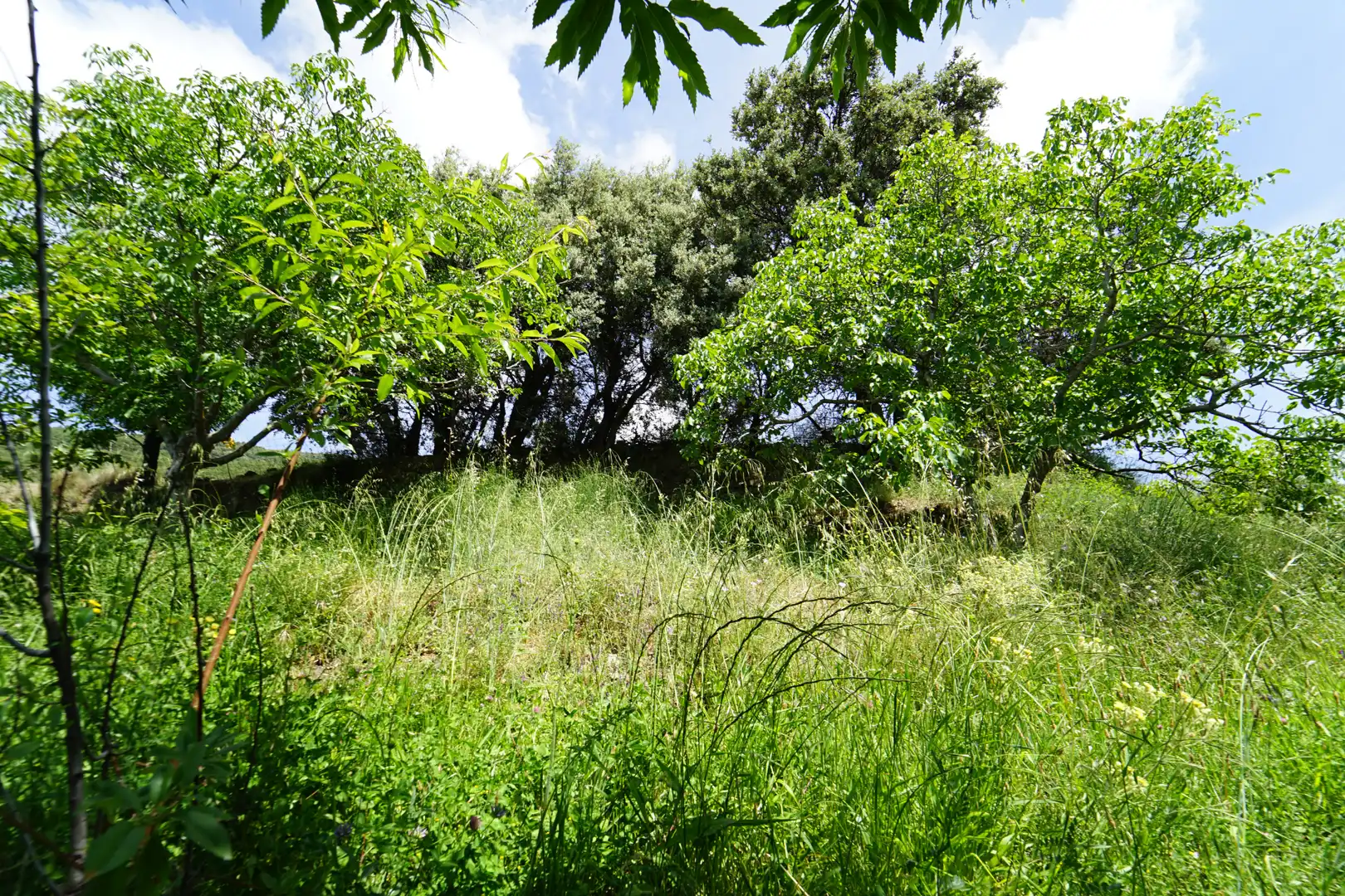 Finca rústica en venda en La Taha amb Terrassa i Moblat