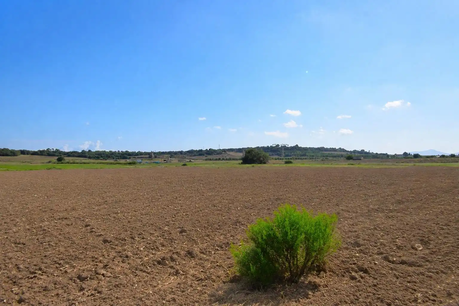Rural land for sale in Muro, imagen 4