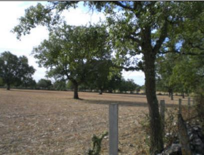 Residencial en venda en Villares de Yeltes