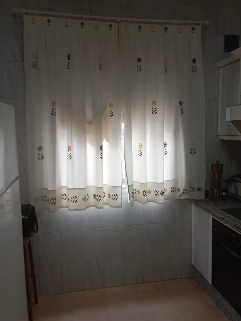 Garden of Detached homes for sale in Fuente Palmera