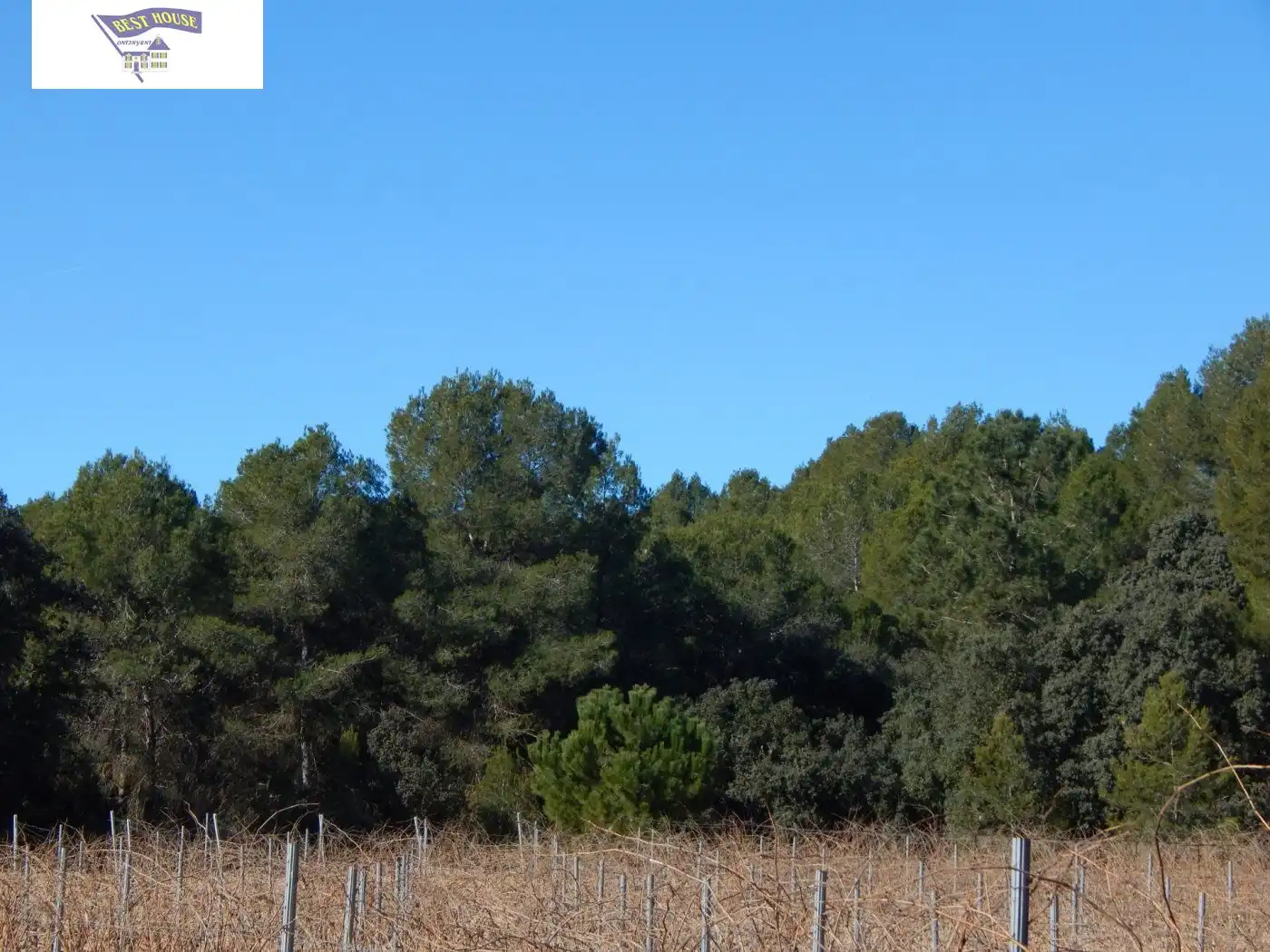 Residential for sale in Ontinyent