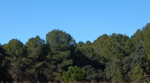 Foto 3 de Residencial en venta en El Pilar, Valencia