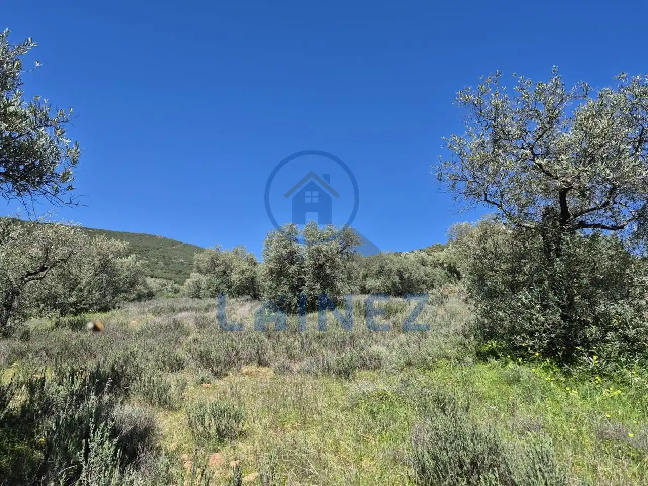 Grundstücke zum Verkauf in Peñarroya-Pueblonuevo