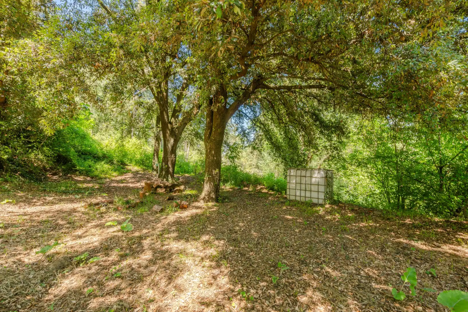 Finca rústica en venda en Mieres (Girona)