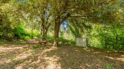 Foto 4 de Finca rústica en venda a Mieres (Girona), Girona