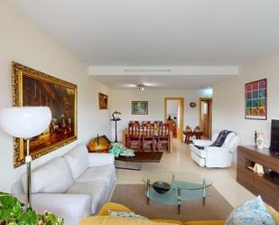 Living room of Single-family semi-detached for sale in Saus, Camallera i Llampaies  with Air Conditioner, Heating and Private garden