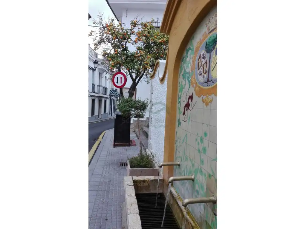 Reihenhaus zum Verkauf in Cortes de la Frontera, imagen 27