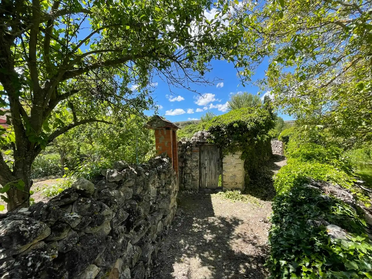 Jardí de Finca rústica en venda en Espinosa de Cerrato amb Jardí privat