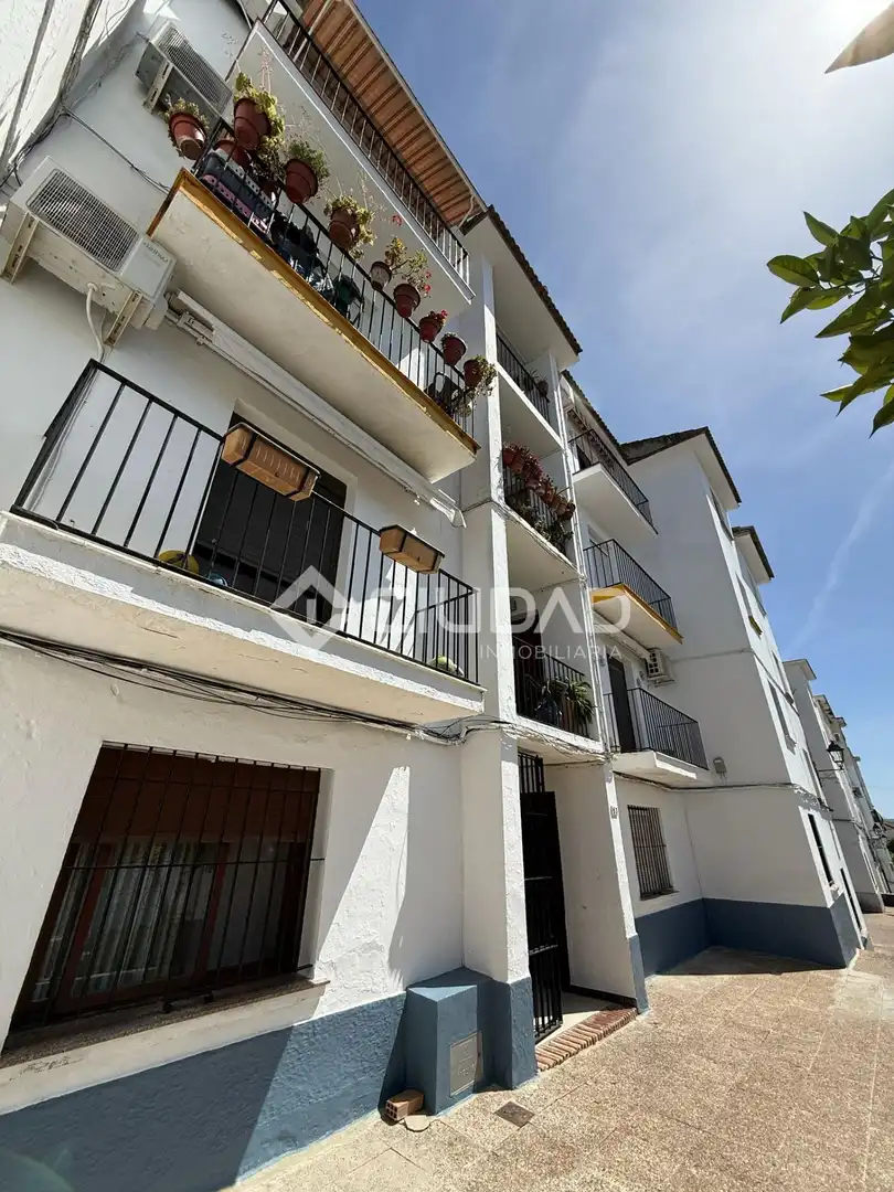 Exterior view of Flat for sale in El Bosque